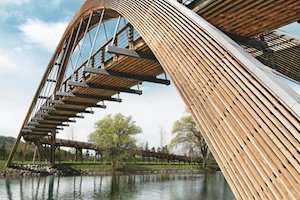 Rapporto annuale Holzbau Schweiz